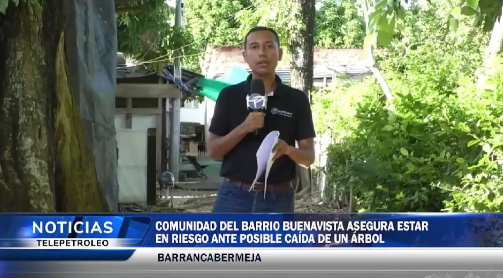 Árbol Pone en Riesgo
