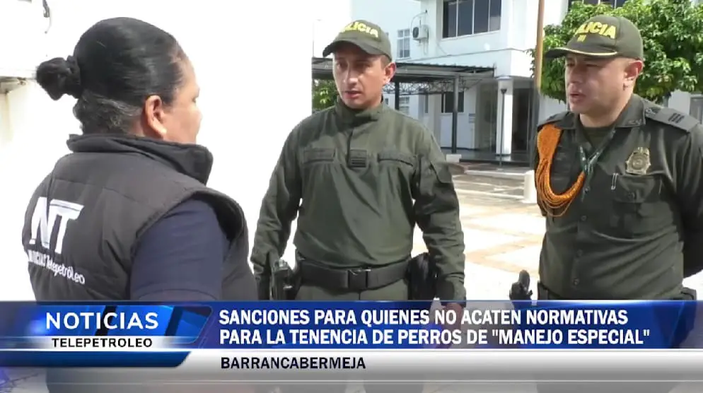 Ataque de Pitbull