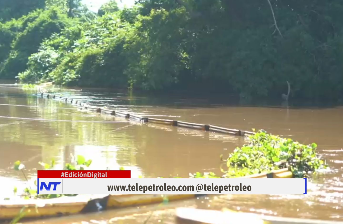 derrame de hidrocarburos en el caño San Silvestre, contaminación por hidrocarburos, emergencia ambiental en caño San Silvestre, impacto ecológico por derrame, ecosistema afectado por hidrocarburos, poliducto Pozos Colorados-Galán, derrame de petróleo en caños, crisis ecológica en Santander, fauna afectada por hidrocarburos, medidas contra derrames de hidrocarburos.