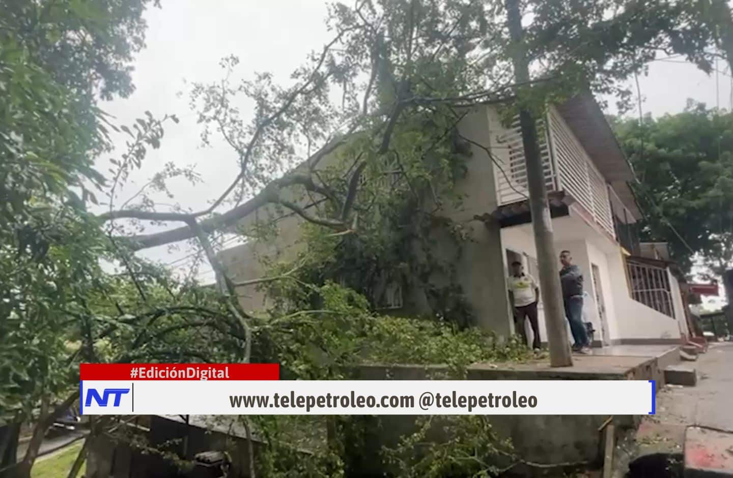 peligro por árboles sin podar en Barrancabermeja, árboles peligrosos en Buenavista, daños por árboles en Barrancabermeja, riesgo por árboles caídos, autoridades no responden en Barrancabermeja, problemas con infraestructura en Buenavista, redes eléctricas afectadas en Barrancabermeja, adultos mayores en riesgo por árboles, árboles sin mantenimiento en Barrancabermeja, peligros naturales en comunidades urbanas.