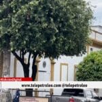 brote de tuberculosis en cárcel del Distrito, tuberculosis en prisión, casos de tuberculosis en reclusos, medidas sanitarias en cárcel, vigilancia epidemiológica en prisión, salud de internos en cárcel, IMPEC y Secretaría de Salud, restricción de visitas en cárcel, emergencia sanitaria en penitenciarias, control de tuberculosis en cárceles