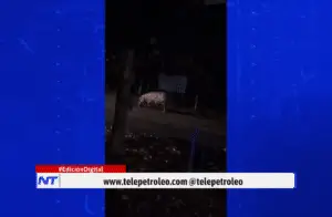 avistamiento de hipopótamo en Barrancabermeja, hipopótamo en Barrancabermeja, hipopótamo en zona rural, hipopótamos en el Magdalena Medio, presencia de hipopótamos en Colombia, hipopótamo fuera de su hábitat, hipopótamo en carretera veredal, hipopótamo en río Magdalena, alerta por hipopótamos en Barrancabermeja, hipopótamo salvaje en Colombia