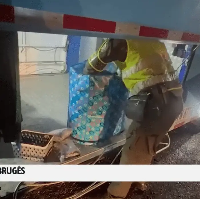 Incautación de marihuana en Barrancabermeja: 33 kilos decomisados en bus intermunicipal y un capturado en operativo vial policial.