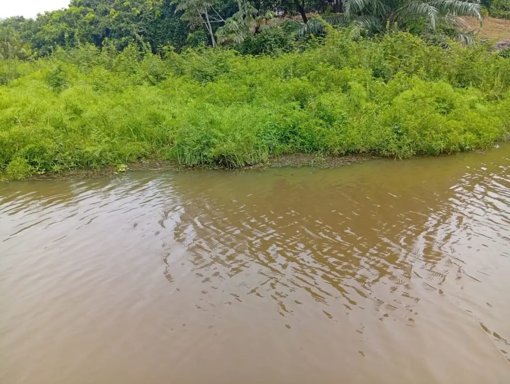 Contaminación en la Ciénaga San Silvestre pescadores alertan por expansión de material presuntamente contaminado