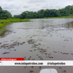 Contaminación en la Ciénaga San Silvestre pescadores alertan por expansión de material presuntamente contaminado