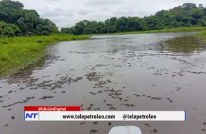 Contaminación en la Ciénaga San Silvestre pescadores alertan por expansión de material presuntamente contaminado