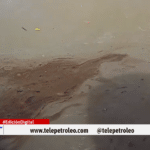 Contaminación en la ciénaga El Llanito genera alarma por presunta afectación a especies y fuentes hídricas