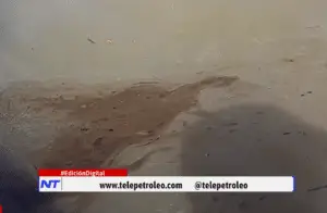 Contaminación en la ciénaga El Llanito genera alarma por presunta afectación a especies y fuentes hídricas