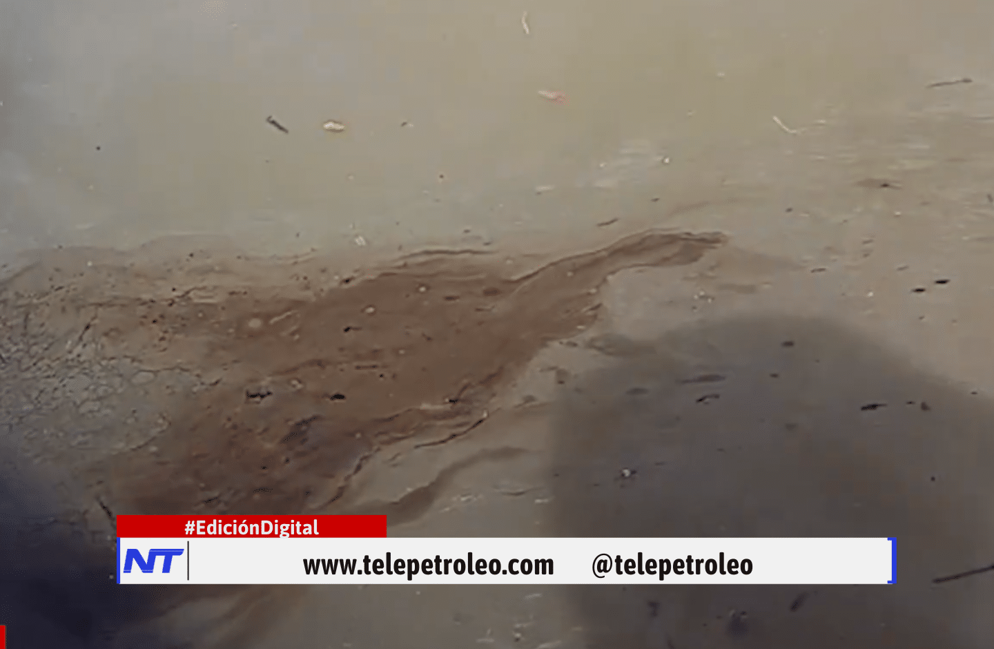 Contaminación en la ciénaga El Llanito genera alarma por presunta afectación a especies y fuentes hídricas