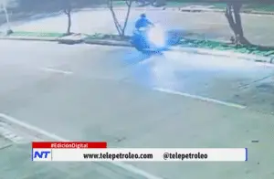 Robo de plantas ornamentales en Barrancabermeja afecta proyectos de embellecimiento urbano