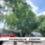 Cambio de rutas escolares del colegio CAS en Barrancabermeja 5 medidas clave para reforzar la seguridad estudiantil