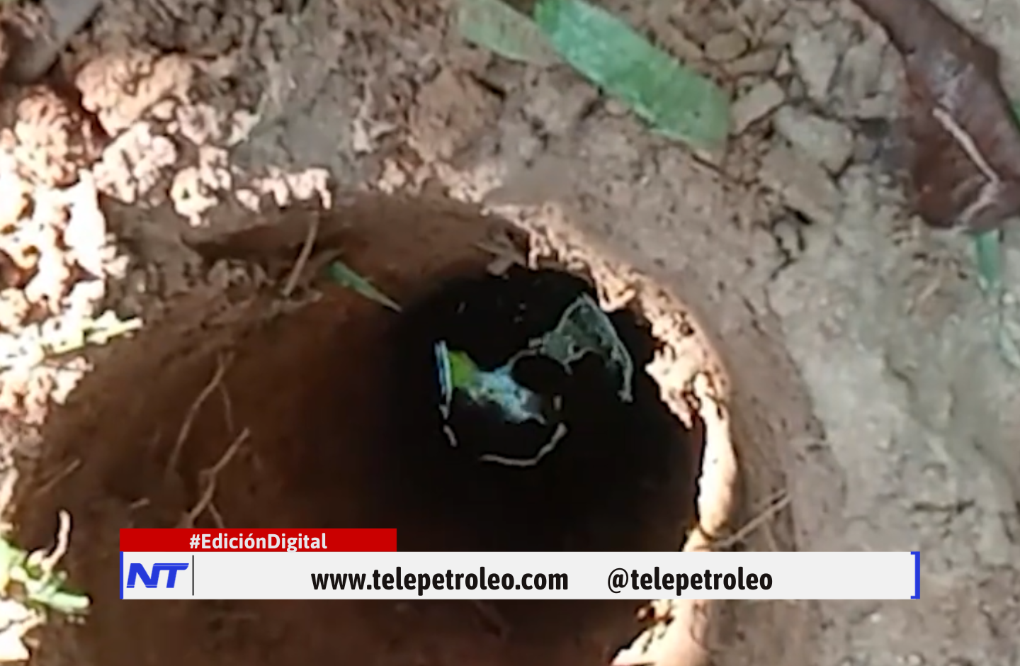 Derrame de hidrocarburos en la Ciénaga San Silvestre