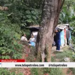 Árbol en riesgo en Barrancabermeja 5 alarmantes razones que preocupan a una familia de Tierraentro