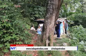 Árbol en riesgo en Barrancabermeja 5 alarmantes razones que preocupan a una familia de Tierraentro