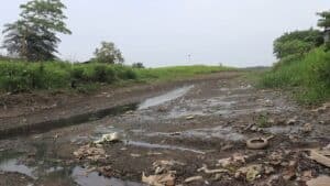 ¡Crítica! 7 consecuencias de la sequía en Caño Cardales que mantienen en alerta a pescadores y comerciantes